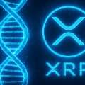 Ripple développe une couche d’identité souveraine (sovereign identity layer) sur le XRP Ledger : la première infrastructure d’identité souveraine planétaire de l’histoire