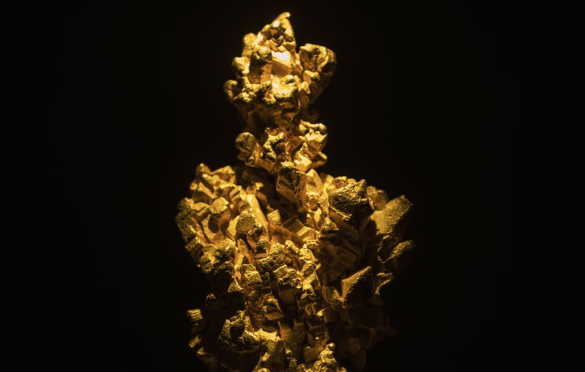 A striking illumination of a gold-colored mineral against a dark background, showcasing its intricate details.