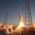 Retail Participation at Peak Valuations in IPOs: Negative Convexity, Herding Dynamics, and Predictive Power for Market Corrections – Empirical Evidence, Econometric Framework, and Implications for SpaceX IPO