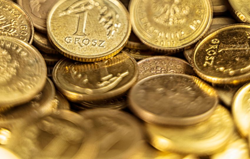 Detailed close-up of Polish grosz coins shining with a golden hue symbolizing wealth and finance.