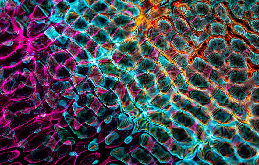 A vibrant abstract image featuring dynamic colors and intricate patterns, perfect for modern art enthusiasts.