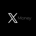 Analysis of regulatory obstacles regarding X Money