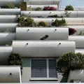 L’IMMOBILIER COGNITIF. SCOREGEX