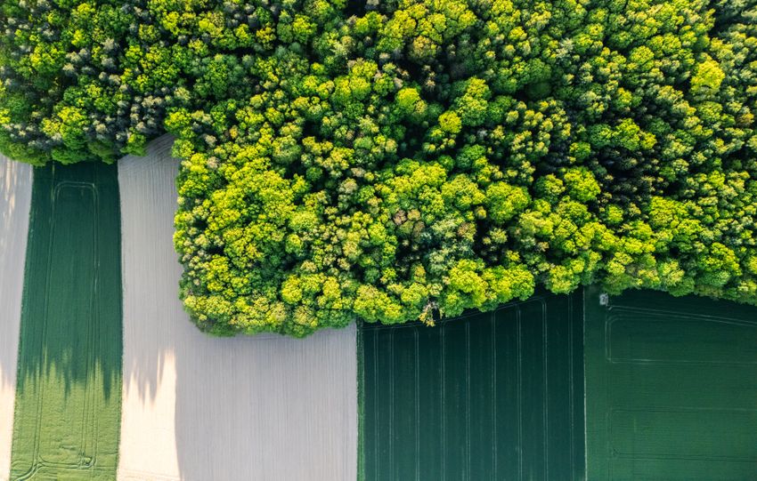 Stunning aerial view of vibrant green forest merging with patterned agricultural fields.