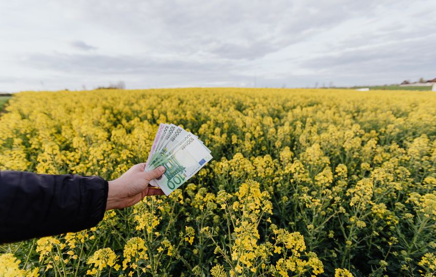 Unrecognizable male holding Russian bills while standing on blossom field during trip on countryside on daytime