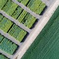 Commodities, carbon & ESG taxonomy: physical data becomes financial