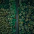 ESG, European taxonomy & carbon: the simplification that creates the quality premium