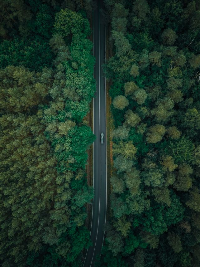 Aerial view of a car on a winding road through dense forest in Germany, showcasing natural beauty.