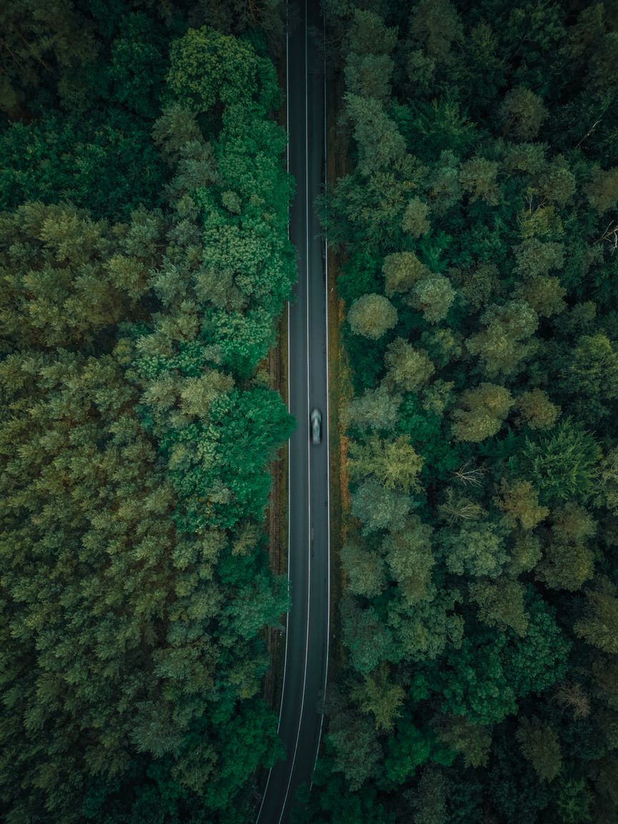 Aerial view of a car on a winding road through dense forest in Germany, showcasing natural beauty.