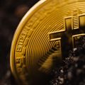 Blockchains, DAOs, and Commodities: The Triumph of Protocol Infrastructure